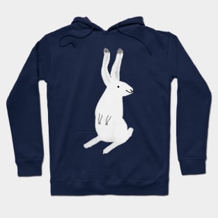 Happy Arctic Hare Hoodie